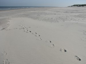 img_3816